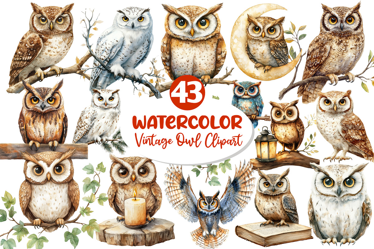 Vintage Owl Clipart, an Illustration by Dream Creation (Photo 1 of 5)