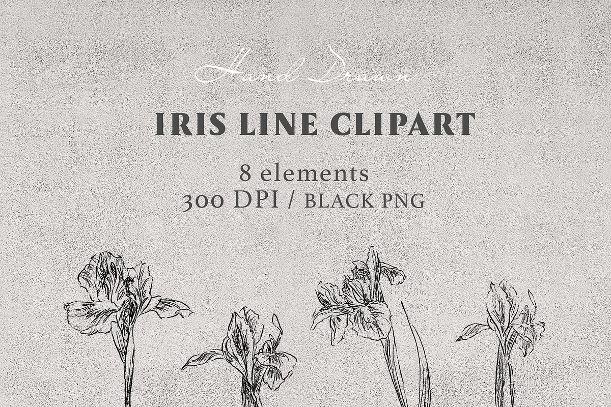 Iris Line clipart, a Decorative Illustration by JULIA x JULIE's ART (Photo 2 of 2)