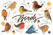 Bird illustration. Vector set, an Animal Illustration by Lesya Skripak (Thumbnail 1 of 3)