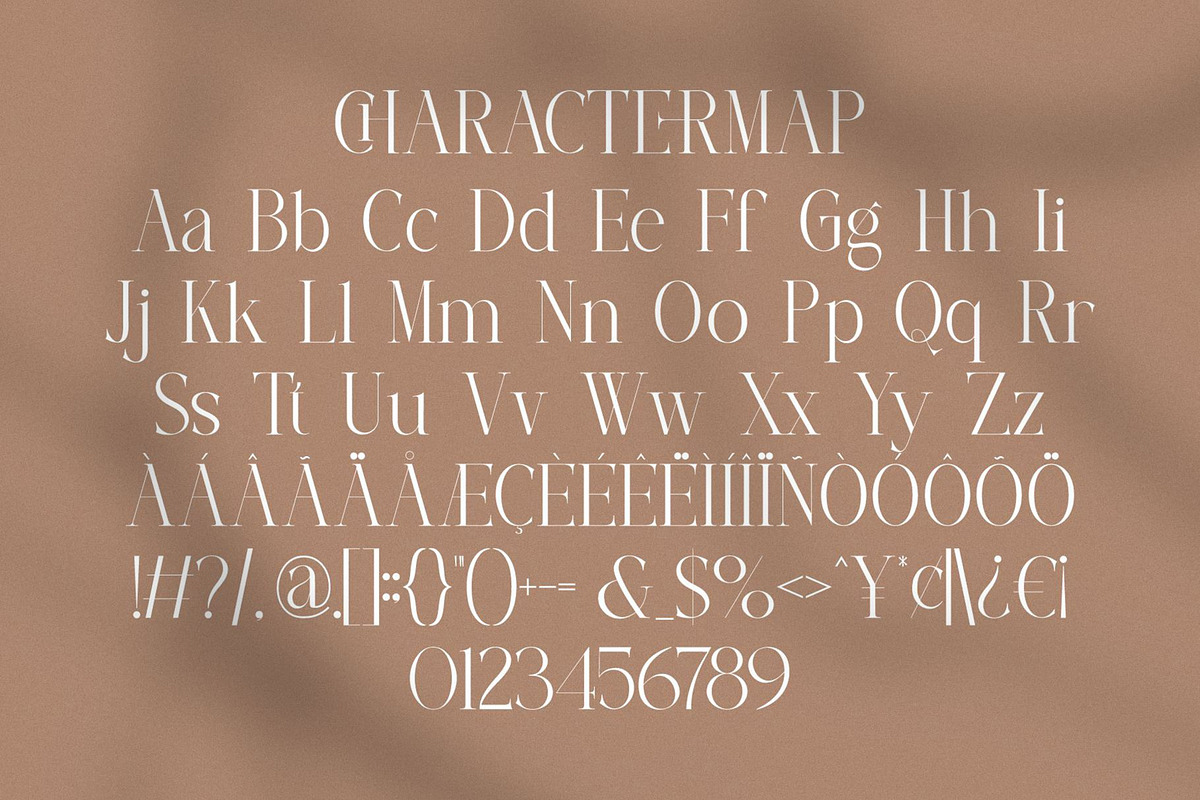 Delosta || Modern Minimalist Serif, a Serif Font by Ermedia Studio (Photo 10 of 10)