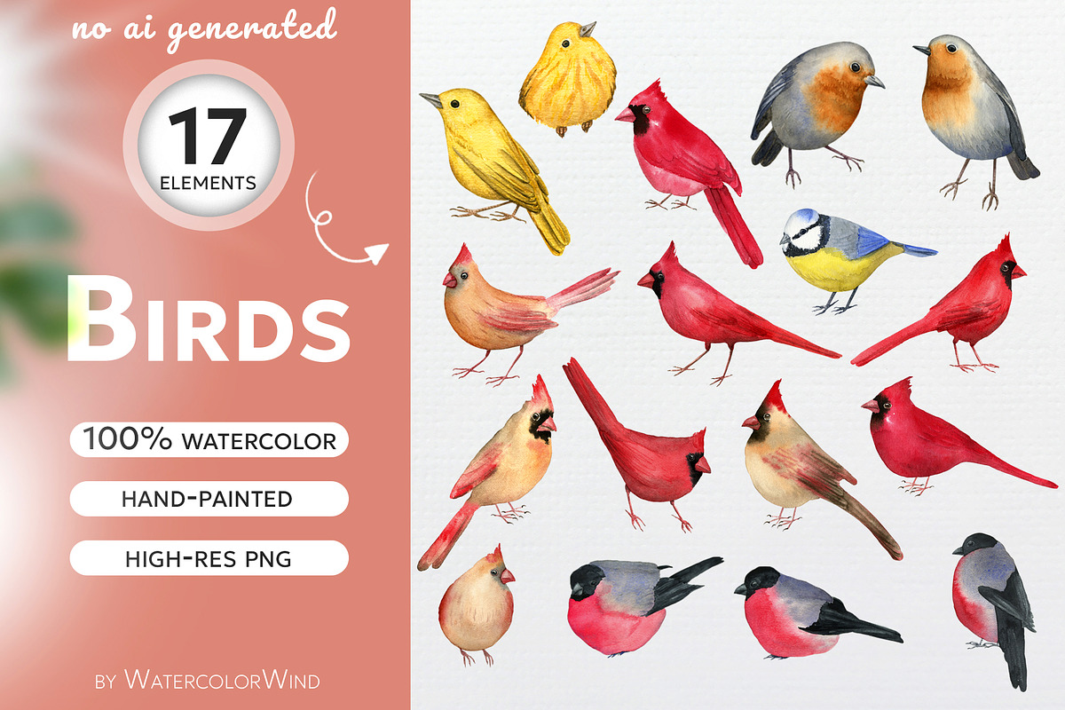 Birds Watercolor Clipart, an Animal Illustration by WatercolorWind (Photo 1 of 3)