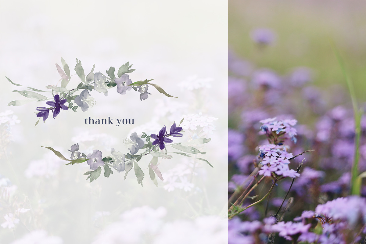 Watercolor Wildflower Clipart Set, an Illustration by Patishop Art (Photo 23 of 23)