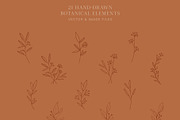 Floral Elements Curated Collection, a Decorative Illustration by Pigment Café (Thumbnail 2 of 8)