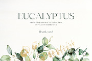 Eucalyptus watercolor leaves clipart, a Decorative Illustration by Yuliya Derbisheva (Thumbnail 14 of 15)