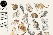AUSTRALIA Flora & Fauna collection, an Animal Illustration by Anastezia Luneva (Thumbnail 2 of 10)