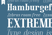 Kimbo, a Slab Serif Font by Typogama (Thumbnail 10 of 10)
