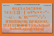 Bailsun, a Serif Font by Gatype (Thumbnail 8 of 10)