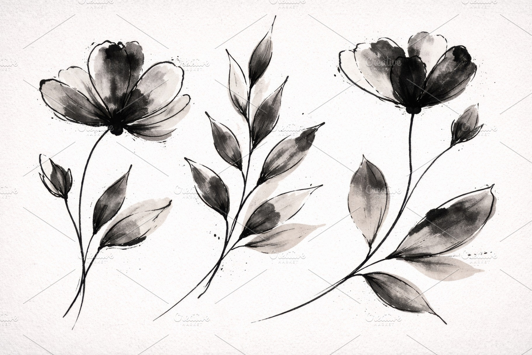 Botanical illustration of watercolor, a Photo by Dvoevnore photos