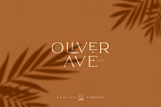 Elegant Karin - Stylish Typeface, a Serif Font by Kaligra.co (Thumbnail 6 of 28)