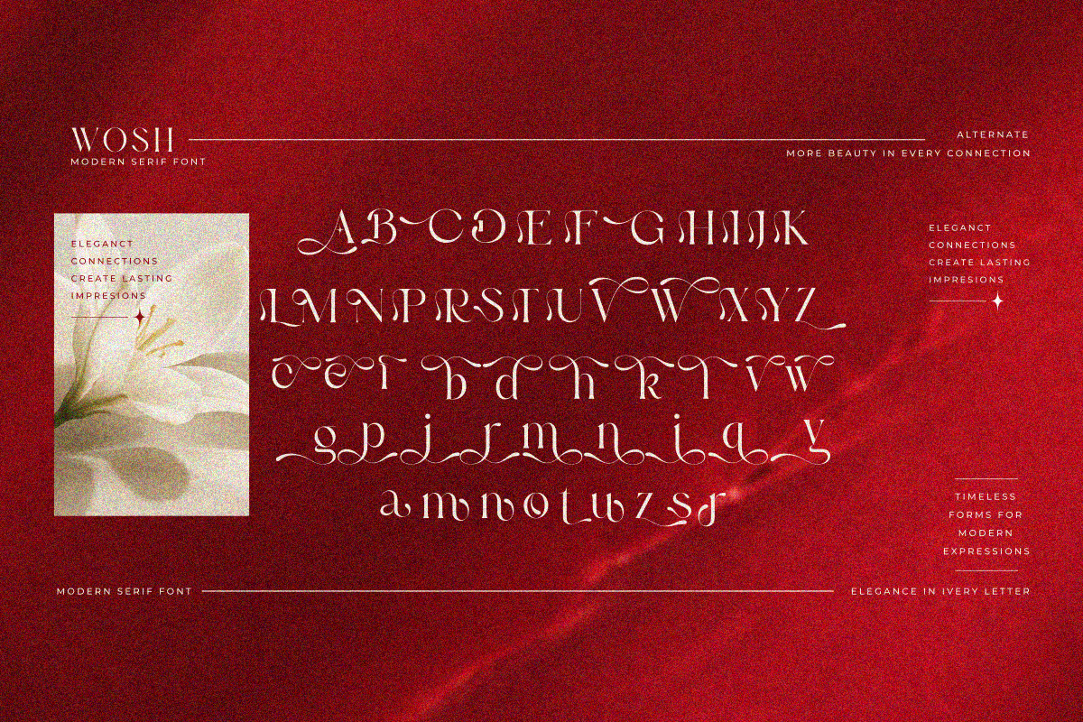 Wosh, a Serif Font by zaaintype (Photo 7 of 12)