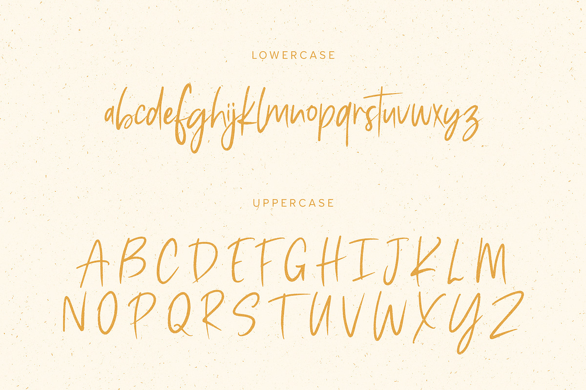 Apollo // A Modern Brush Script Font, a Script Font by Megs Lang