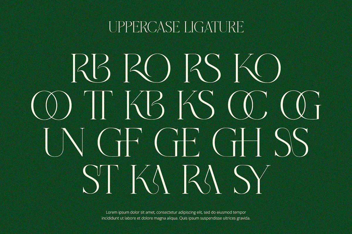 Grass - Serif Font, a Serif Font by Alpaprana (Photo 4 of 10)