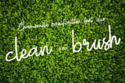 Chamomile Script Font, a Script Font by siscxiu (Thumbnail 2 of 6)