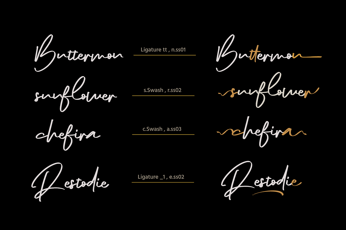 The Diary // Stylish Script Typeface, a Script Font by GDcreative (Photo 2 of 9)