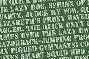 CASH, a Serif Font by Loudoun Design Co. (Thumbnail 4 of 7)