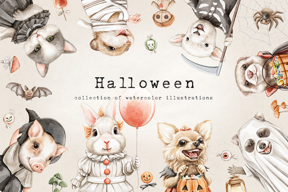 Halloween, an Animal Illustration by Mimomy (Photo 1 of 11)