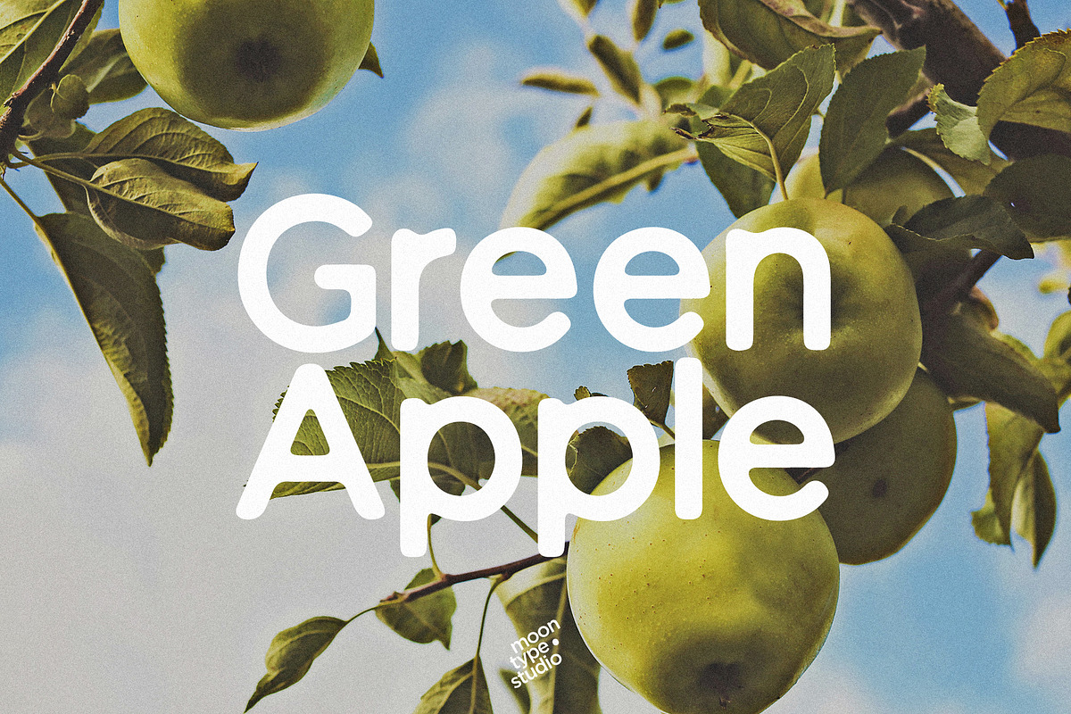 Green Apple - Vintage Sans Serif, a Sans Serif Font by Schrifted Type (Photo 1 of 8)