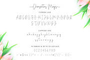 Miya Wayne - Lovely Script Font, a Script Font by StringLabs (Thumbnail 11 of 13)