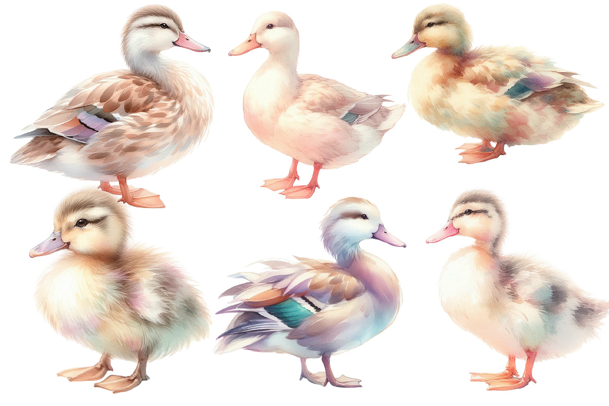 Watercolor Duck clipart, an Illustration by Designworld (Photo 2 of 6)