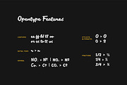 Fiest-Brush Font Duo, a Script Font by Panatype™ Studio (Thumbnail 12 of 12)