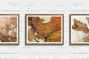 Dreamy Faded Fall Backgrounds, a Texture Graphic by Skritch Studio (Thumbnail 4 of 4)