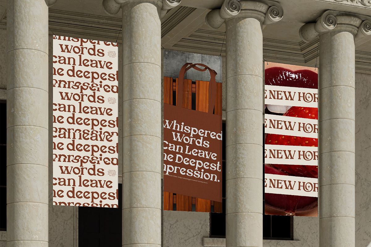 Veloura Modern Serif Display, a Serif Font by operatype.co (Photo 5 of 8)