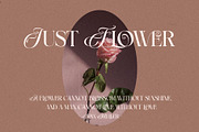 The Darling Beautiful Hybrid Serif, a Serif Font by RantautypeStudio (Thumbnail 16 of 19)
