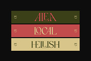 Canniza - Display Serif Font, a Serif Font by Prominent & Affluent (Thumbnail 6 of 8)