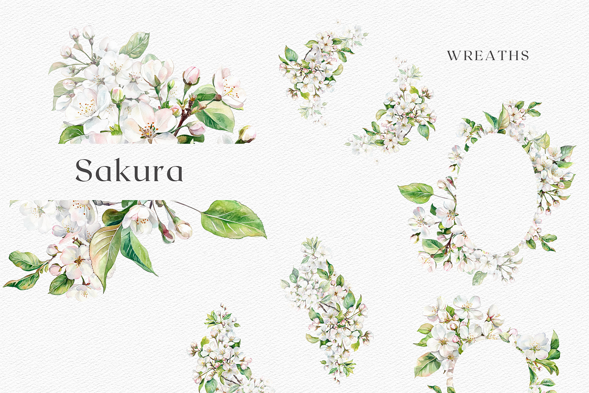 Sakura Bloom - Cherry Blossom, a Decorative Illustration by ThaismotaCreativeCo (Photo 6 of 9)