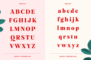 Mogan Serif Font Extras