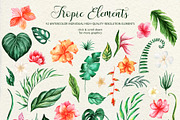 Tropical Dream-watercolor set, a Decorative Illustration by Astarte_design (Thumbnail 2 of 11)