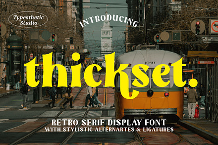 Thickset Serif Display Font