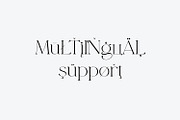 Basgem – Modern Serif Typeface, a Serif Font by Issam Type (Thumbnail 15 of 18)