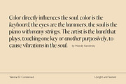 Talesha Font Family, a Serif Font by Seniors (Thumbnail 29 of 30)