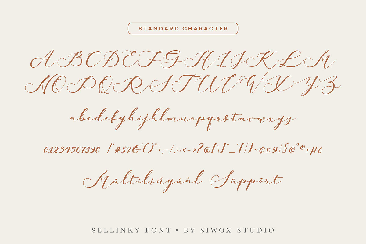 Sellinky - modern calligraphy script, a Script Font by Siwox Studios (Photo 6 of 8)