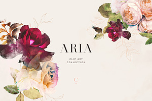 Aria - Romantic Watercolor Florals