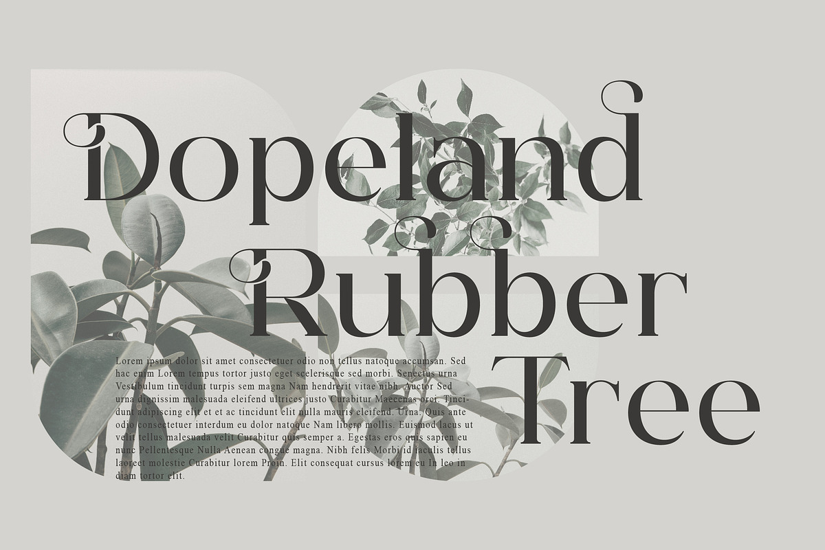 Hegam Modern and Stylish Serif Font, a Serif Font by Storytype Studio (Photo 3 of 15)