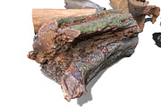 13 Tree Logs, an Environmental 3D Model by Beatheart Creative Studio (Thumbnail 35 of 37)