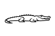 Crocodile Alligator Vector Bundle, an Illustration by jahid234 (Thumbnail 38 of 51)
