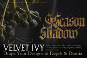 Velvet Ivy – Botanical Backgrounds |, a Background Graphic by Aga Silva (Thumbnail 7 of 9)