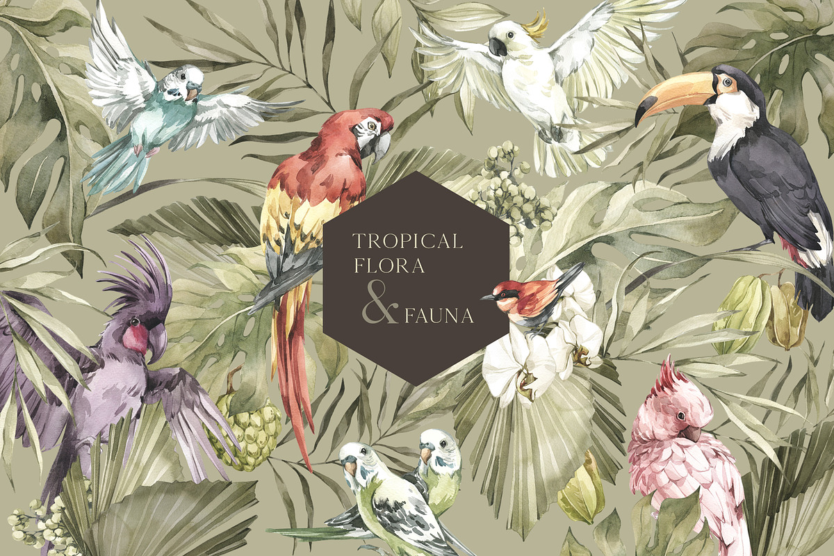 BIRD GARDEN Tropical collection, an Animal Illustration by Anastezia Luneva (Photo 3 of 13)