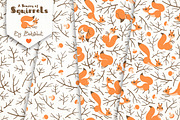 A Scurry of Squirrels - Design Kit, an Animal Illustration by Baksiabat (Thumbnail 10 of 12)