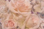 Ornate Overlays, a Texture Graphic by Clikchic Designs (Thumbnail 5 of 7)
