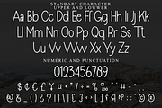 WILDWOOD, a Sans Serif Font by FreshTypeINK (Thumbnail 3 of 8)