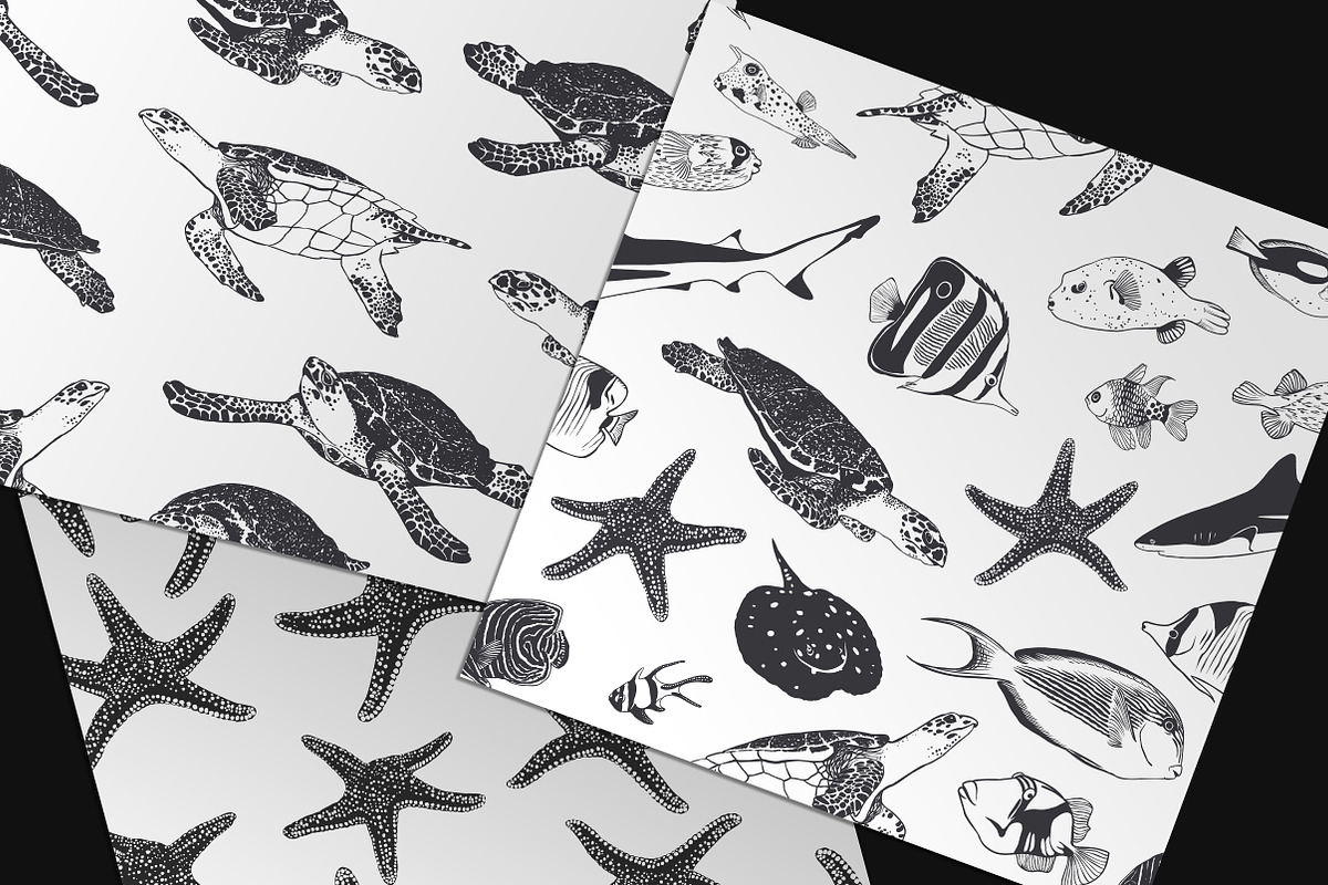 19 sea animals + patterns. Vector, an Animal Illustration by Crazy nook (Photo 2 of 2)
