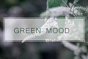 GREENMOOD Inspired Lightroom Preset, an Action Add-On by J.Hermawan Photography (Thumbnail 1 of 3)