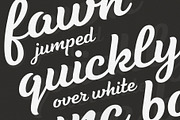 Tilda Script — stylish font family, a Script Font by Roman Polishchuk (Thumbnail 3 of 6)