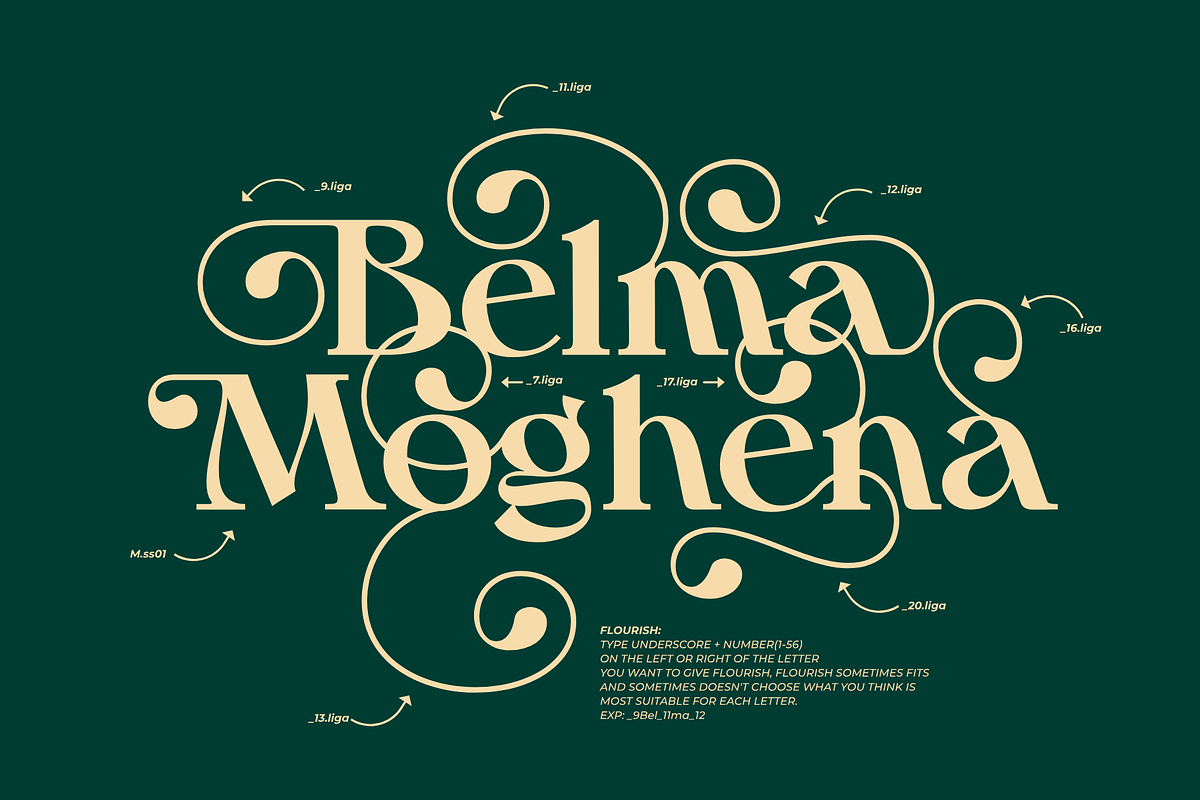 Belma Moghena - Decorative Serif, a Serif Font by Bring To Type (Photo 8 of 10)