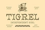 CS Mexico Stitched, a Serif Font by Craft Supply Co. (Thumbnail 6 of 8)