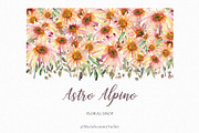 Astro Alpino - Watercolor Flowers, a Decorative Illustration by MariaScaroniAtelier (Thumbnail 4 of 7)